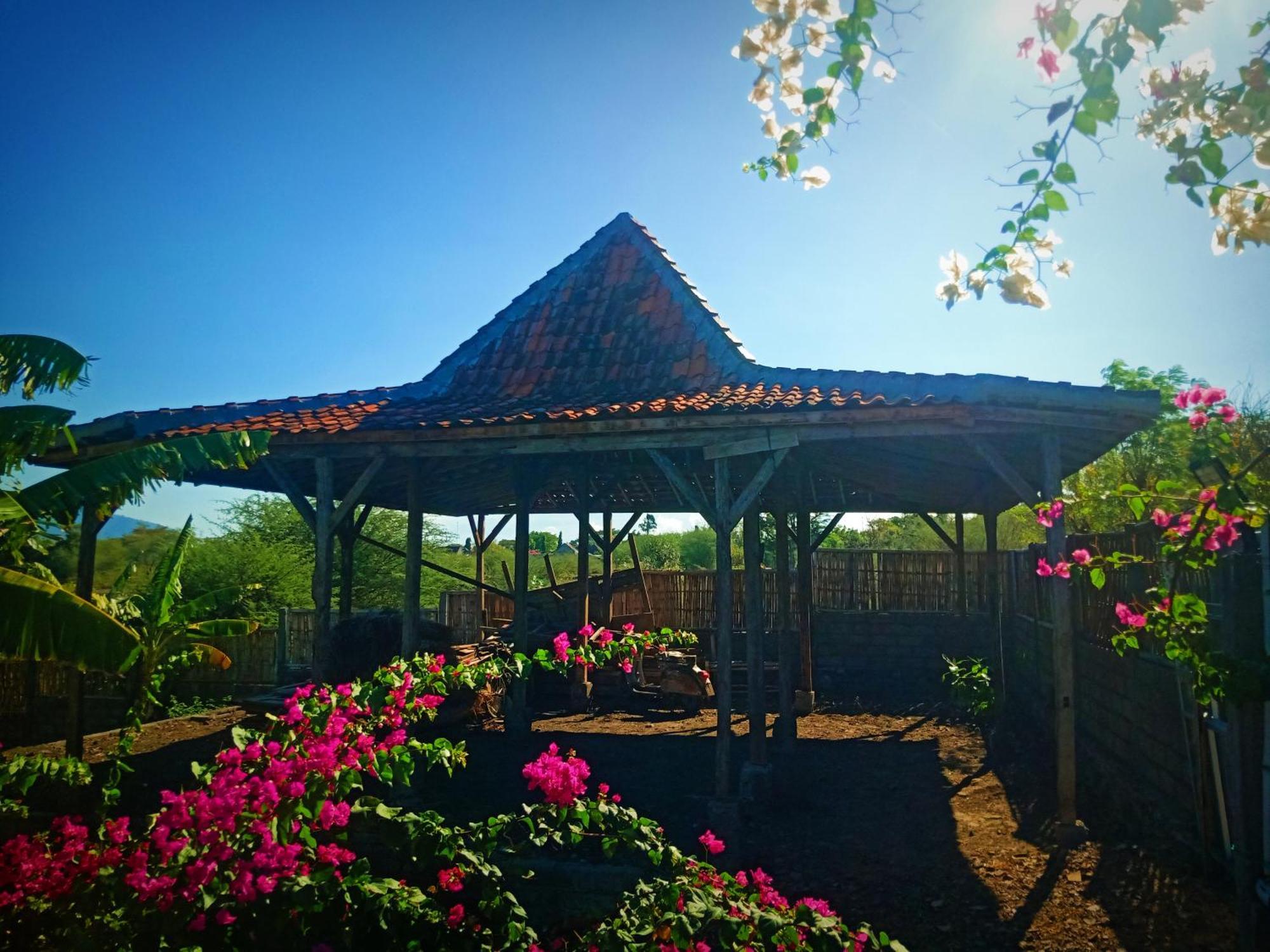 Umah Kayu 2-Menjangan Homestay Banyuwedang Buitenkant foto